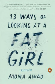 book cover of 13 Ways of Looking At a Fat Girl
