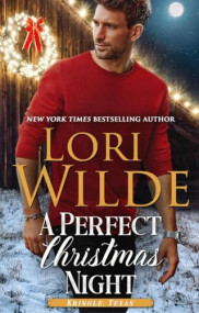 book cover of A Perfect Christmas Night