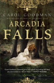 book cover of Arcadia Falls