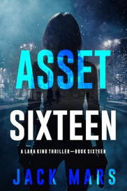 book cover of Asset Sixteen