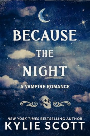 poster Because the Night