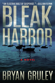 book cover of Bleak Harbor