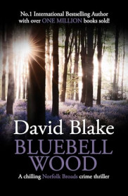 book cover of Bluebell Wood