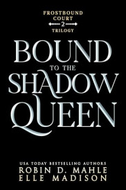 poster Bound to the Shadow Queen