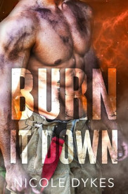 book cover of Burn It Down