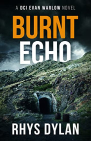 poster Burnt Echo