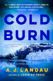book cover of Cold Burn