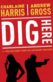 book cover of Dig Here