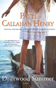book cover of Driftwood Summer
