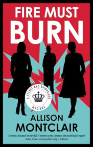 book cover of Fire Must Burn
