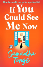 book cover of If You Could See Me Now