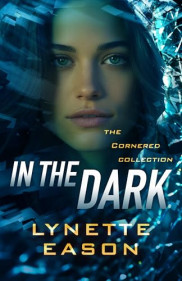 book cover of In the Dark