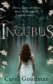 poster Incubus