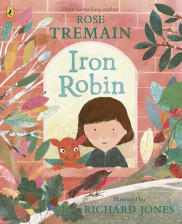 poster Iron Robin