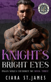 book cover of Knight's Bright Eyes