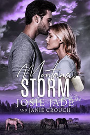 poster Montana Storm