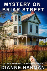 book cover of Mystery on Briar Street