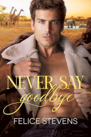 poster Never Say Goodbye