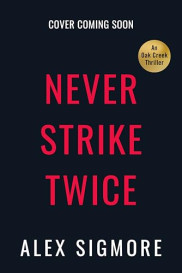 book cover of Never Strike Twice