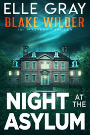 book cover of Night at the Asylum