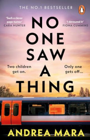 book cover of No One Saw a Thing