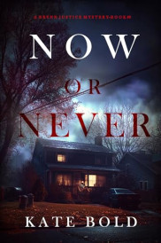 book cover of Now or Never