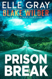 book cover of Prison Break