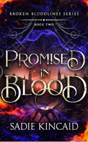 book cover of Promised in Blood