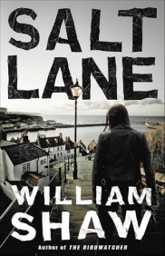 poster Salt Lane