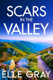 book cover of Scars in the Valley