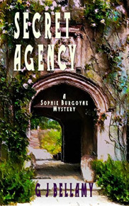book cover of Secret Agency