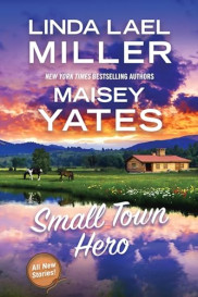 book cover of Small Town Hero