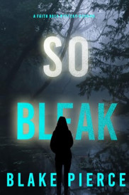 book cover of So Bleak