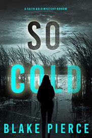 book cover of So Cold
