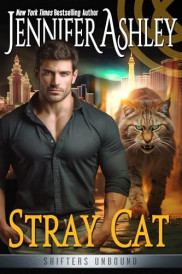 poster Stray Cat