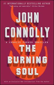 book cover of The Burning Soul