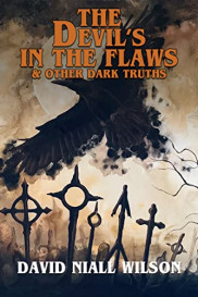 poster The Devil's in the Flaws