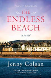 book cover of The Endless Beach