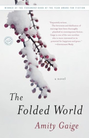 poster The Folded World