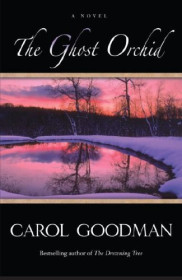 poster The Ghost Orchid