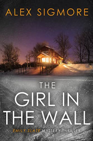 book cover of The Girl In The Wall