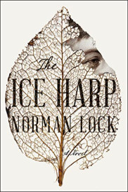 book cover of The Ice Harp