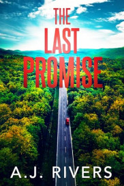 book cover of The Last Promise