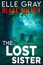 book cover of The Lost Sister