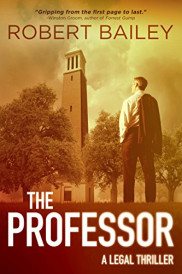 book cover of The Professor