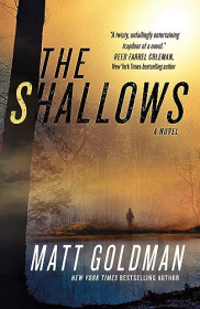 book cover of The Shallows