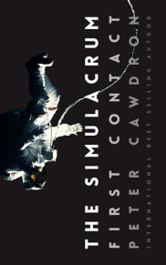 poster The Simulacrum