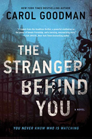 book cover of The Stranger Behind You