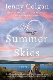 book cover of The Summer Skies