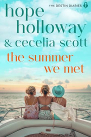 poster The Summer We Met